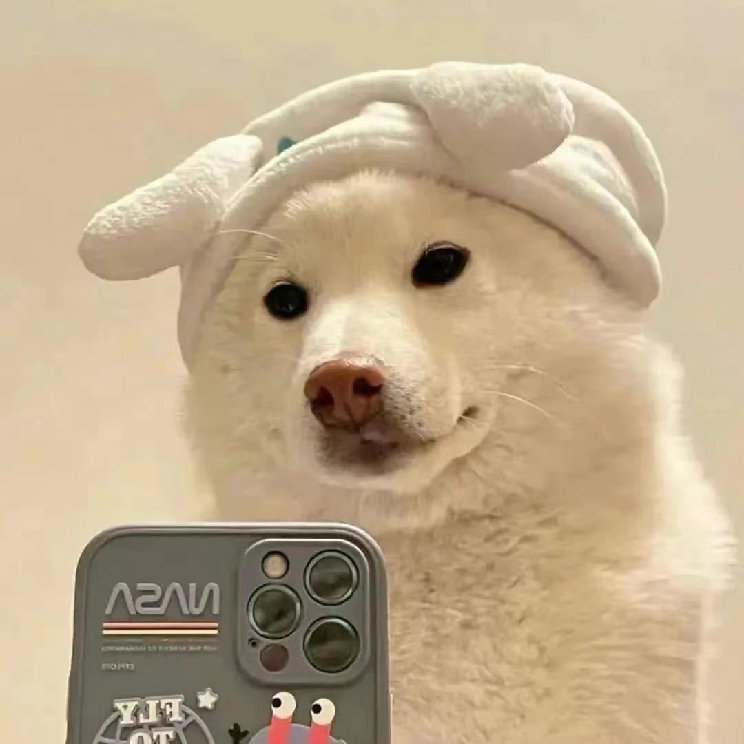 ！的头像